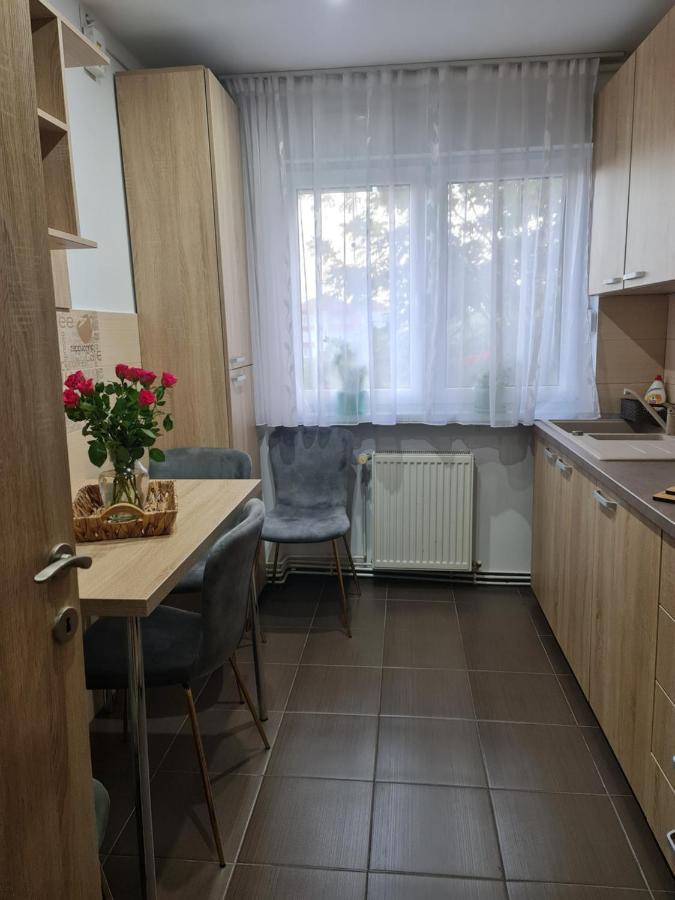Apartament Modern Cristina&Jessica Mediaş Exterior foto